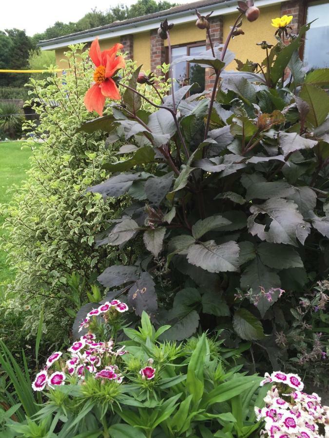 One Slade Gardens Appartement The Mumbles Buitenkant foto